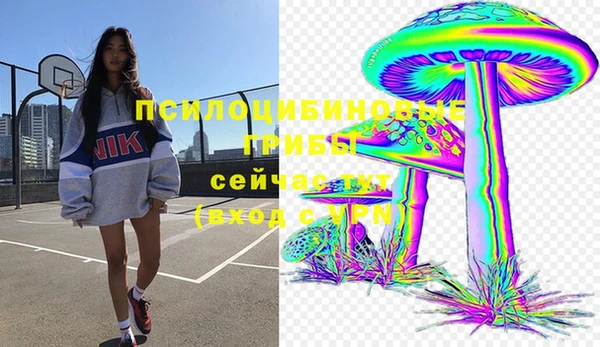 Альфа ПВП Вязьма