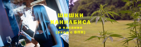 дмт Вяземский