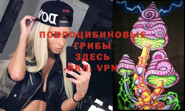дмт Вяземский