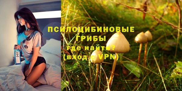 Альфа ПВП Вязьма