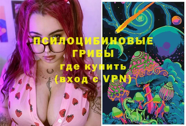 дмт Вяземский
