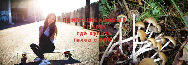тгк Горно-Алтайск